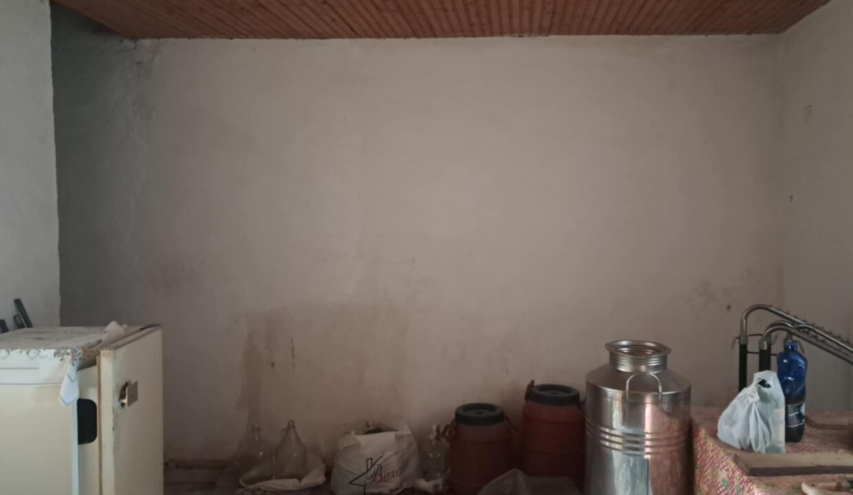 58ad7a8b-f132-4af4-8da6-6e45d3a4d974