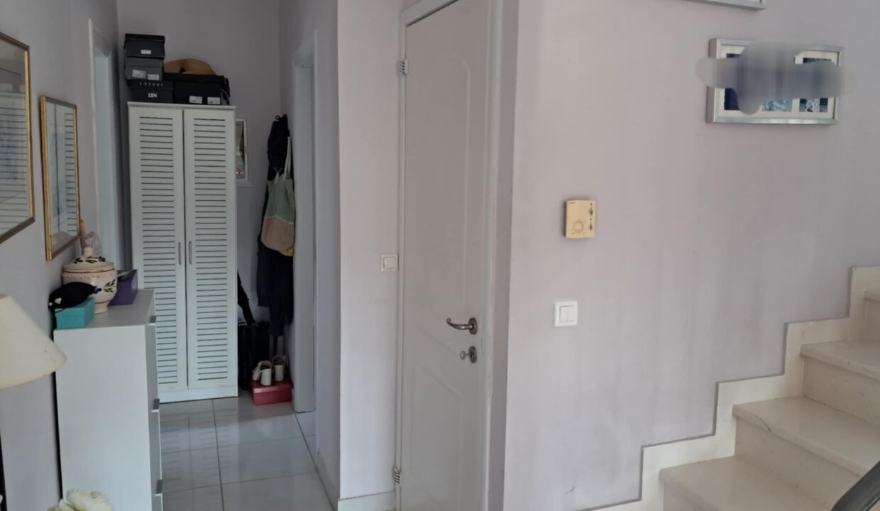 255904d5-354a-4d46-bb69-0707718fffa2