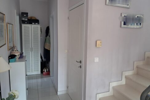 255904d5-354a-4d46-bb69-0707718fffa2