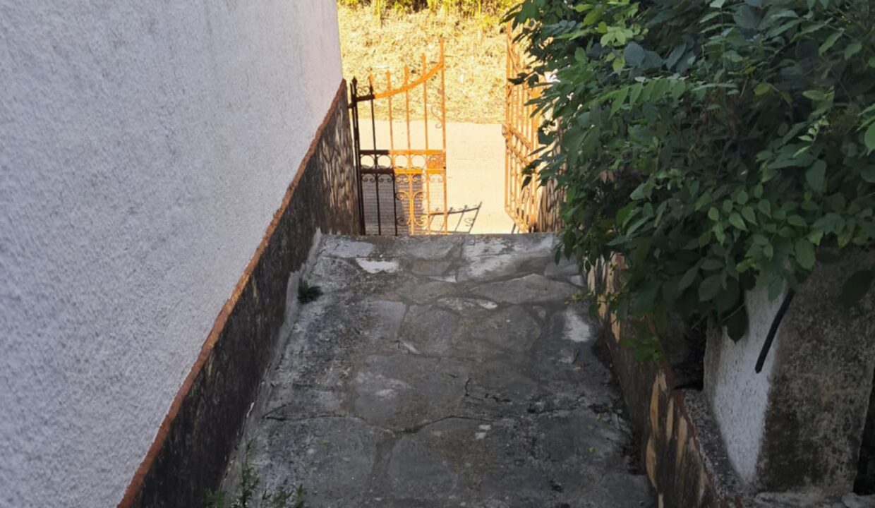 91f2b31b-4a2d-41a7-8ee8-1c9520c91e50