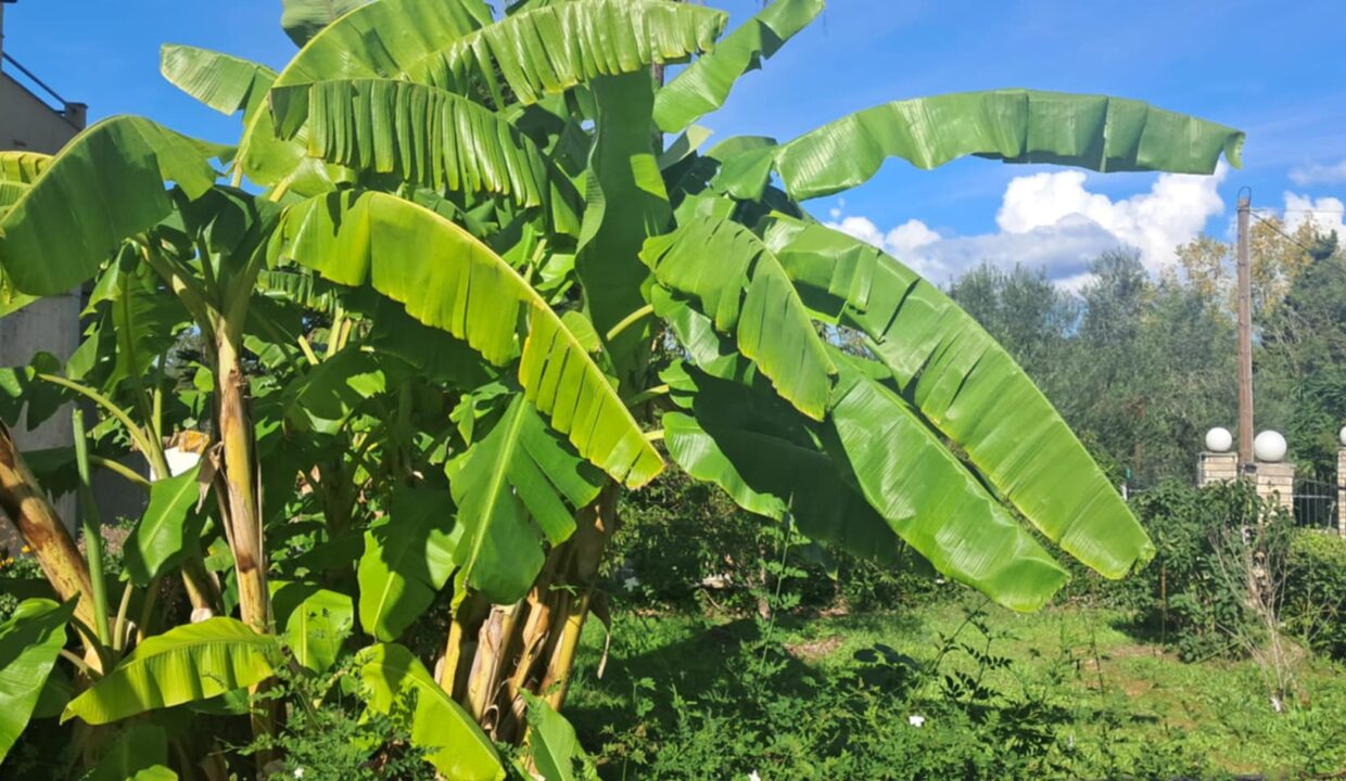 16381610-c890-4c83-848d-a7a1de591510