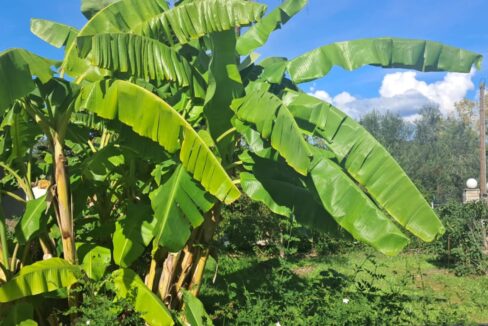 16381610-c890-4c83-848d-a7a1de591510