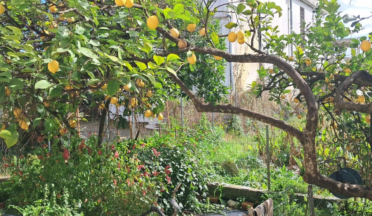 44bf9e8b-4cf7-4a44-ac0e-babc3c52223a