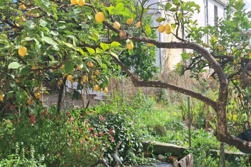 44bf9e8b-4cf7-4a44-ac0e-babc3c52223a