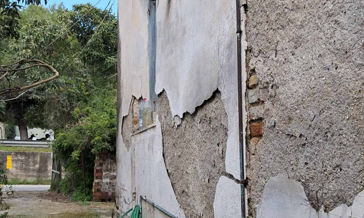 7e6f39d0-7ae6-4806-8f8a-7bd50be2578d