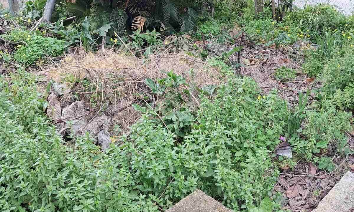 9daed352-ed08-4b0a-8321-c3c3eecc61fa