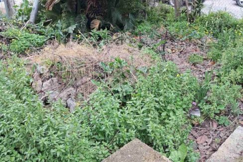 9daed352-ed08-4b0a-8321-c3c3eecc61fa