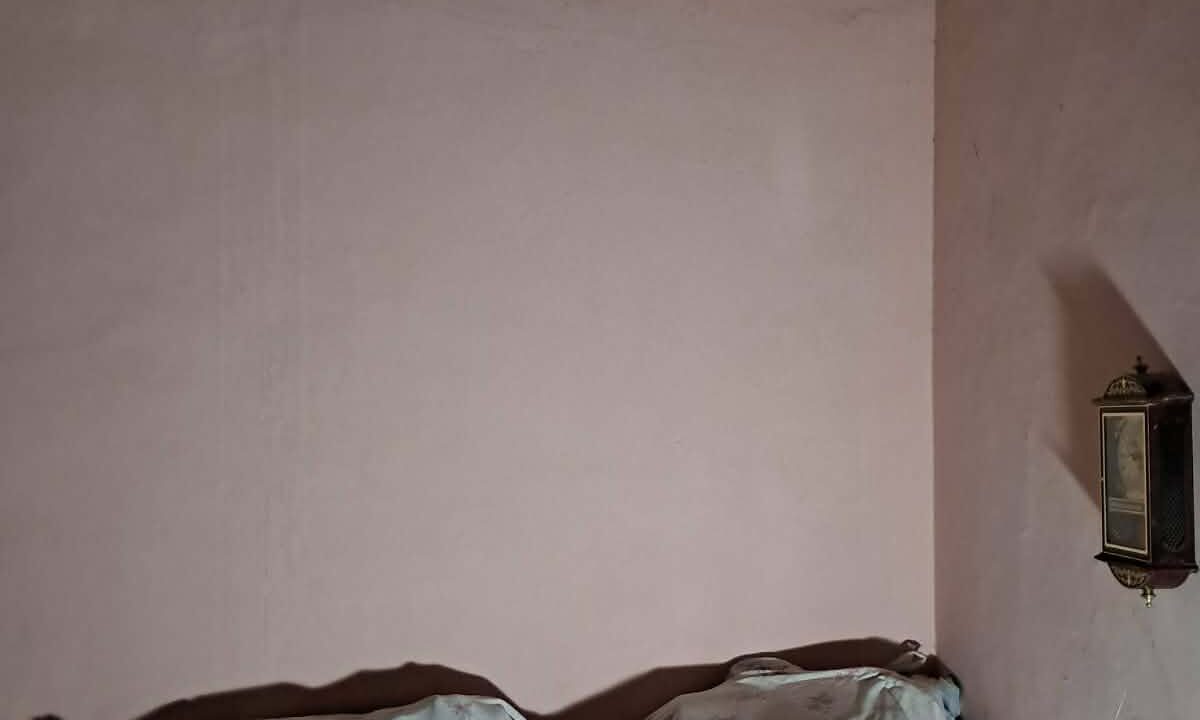 a0a0caf6-d0ec-4303-8af5-ef20388411c6