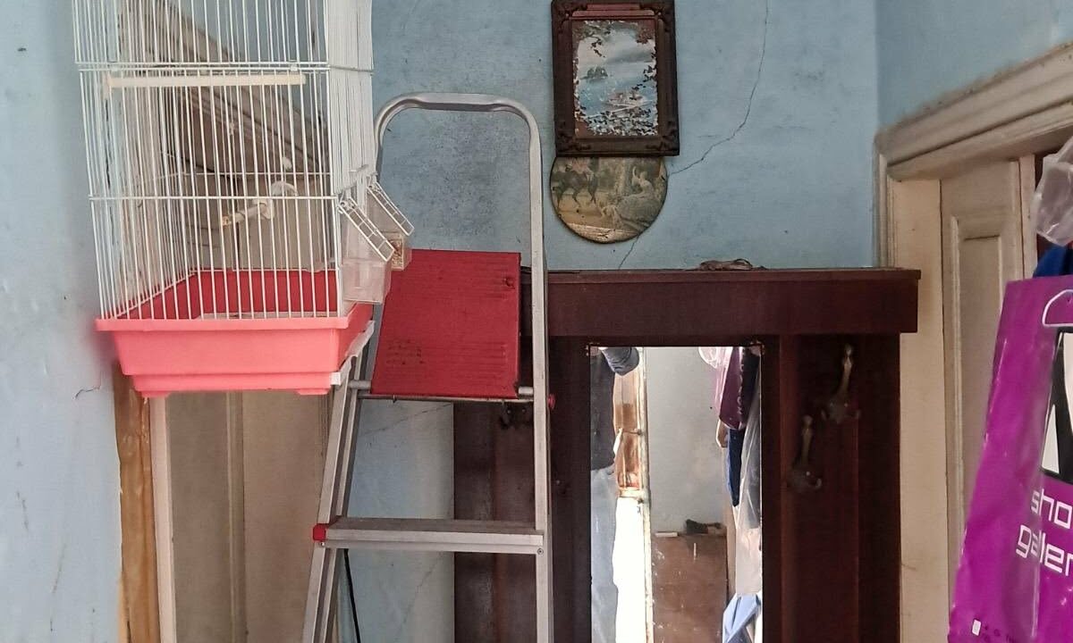 c2dfa190-e6a1-4c6e-977c-700d487ca3b9