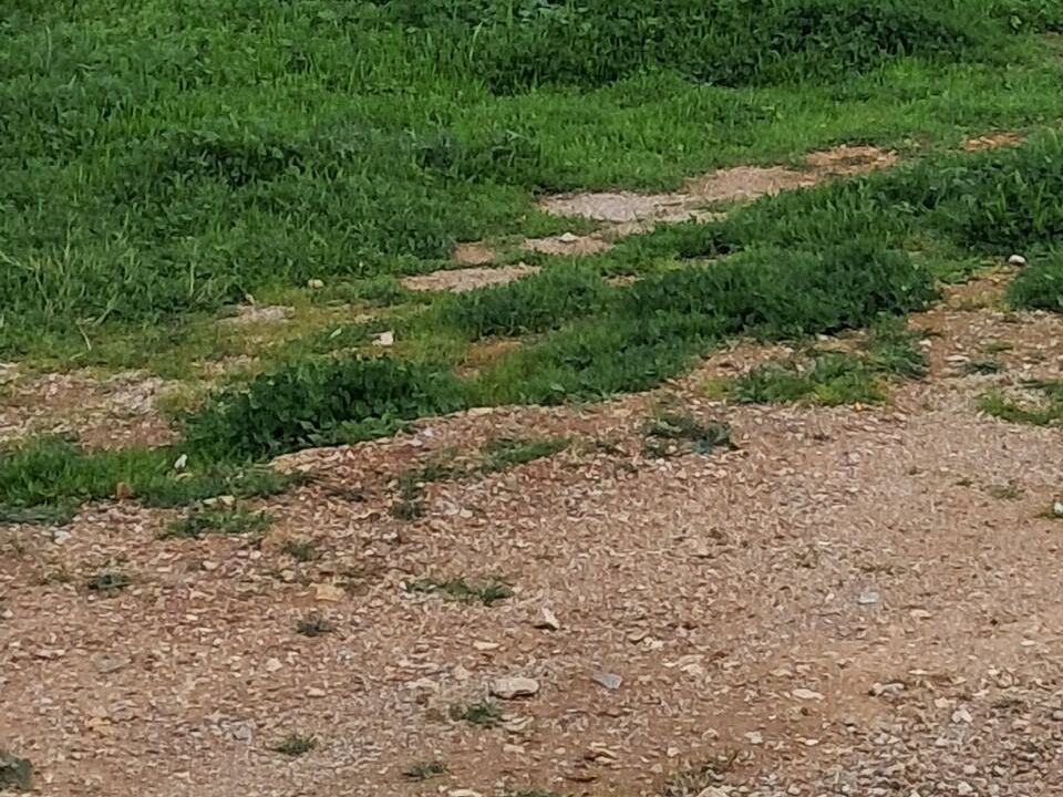 476001675_122168210756285462_3068080323263531522_n